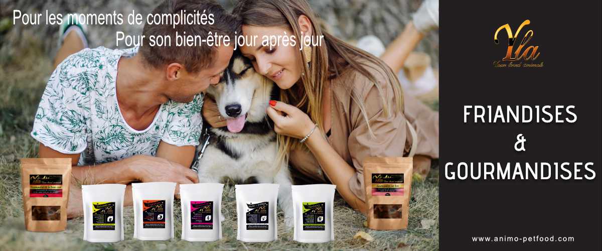 friandises-et-gourmandises-pour-chien